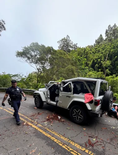Tree falls on vehicle on Hana Highway, injures five